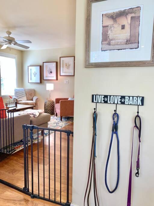The Comforts' Inn: Mountain Escape Mountainaire 外观 照片