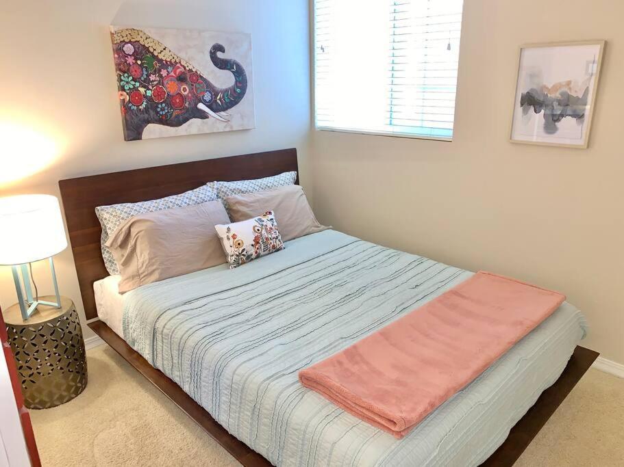 The Comforts' Inn: Mountain Escape Mountainaire 外观 照片